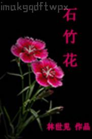 我和母親的真實(shí)性記錄